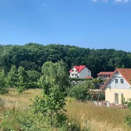 Albatrosa 17 - Nr 4 * Rewal