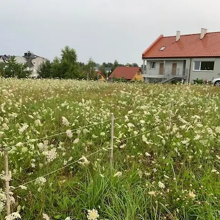 Albatrosa 17 - Nr 4 Apartament *