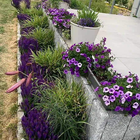 Albatrosa 17 - Nr 4 Apartament *