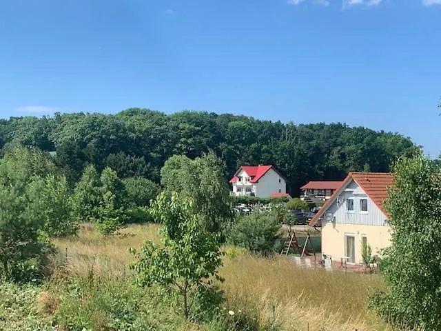 Albatrosa 17 - Nr 4 * Rewal