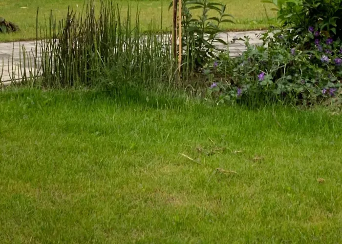 Albatrosa 17 - Nr 4 Apartman