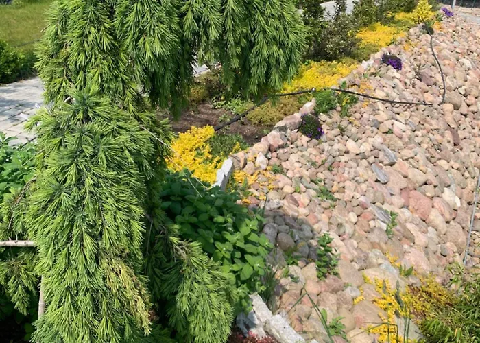 Albatrosa 17 - Nr 4 Apartman *