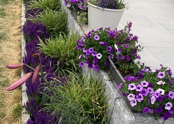 Albatrosa 17 - Nr 4 Apartament *